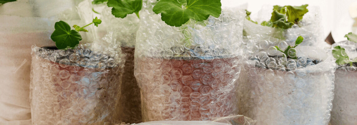 [paste advice page name here]